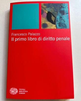Libro Palazzo Il primo libro diritto penale Nuovo
