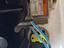 Immagine 17