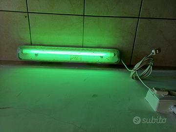 PLAFONIERA CON NEON VERDE 60 CM