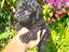 Immagine 4