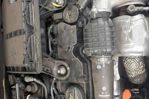 MOTORE CITROEN C3 1.4 DIESEL SIGLA:8H01 ANNO:2014