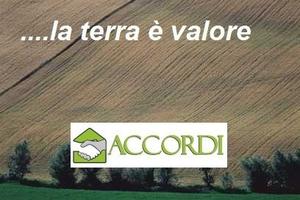 Rif.ZT28H_50| area edificabile montebelluna