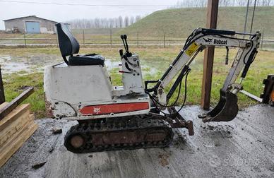 miniescavatore