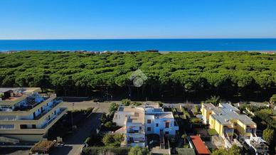 3 LOCALI A MONTALTO DI CASTRO