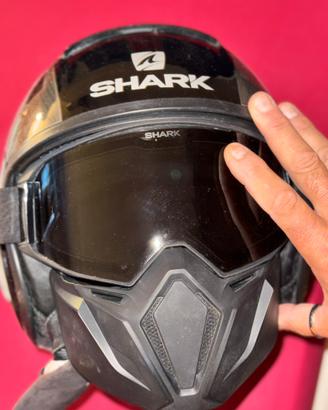 Casco shark
