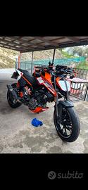 Duke 125