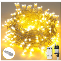 Catena luminosa led 30 metri , 300 led esterno e i