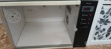 Camere calde per pappagalli