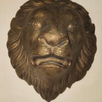 Testa di Leone