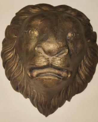 Testa di Leone