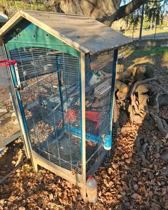 voliera per canarini 