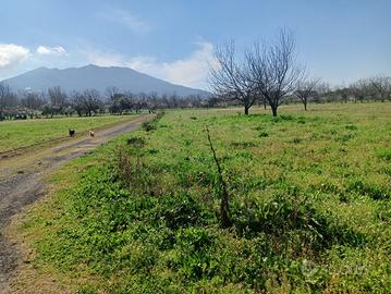 Terreno agricolo 7200 mq