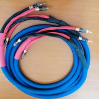 coppia di cavi di potenza