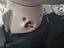 Immagine 13