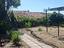 Immagine 29