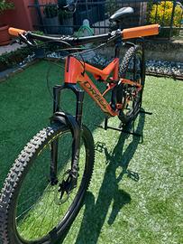 Orbea occam