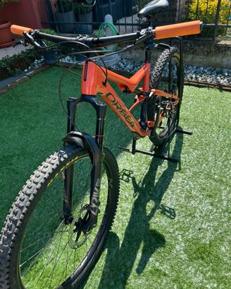 Orbea occam