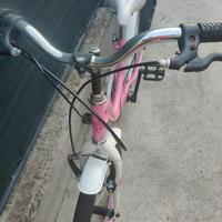 bicicletta bimba mtb