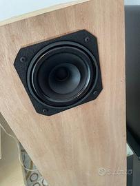 Casse acustiche monovia