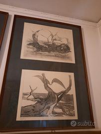 quadri acquaforte del 1973