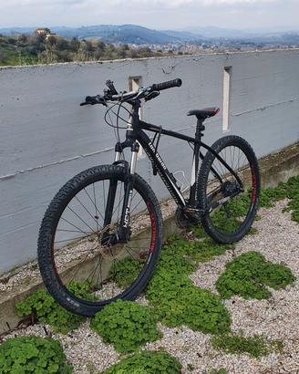 Bici Lombardo Sestriere 350 mtb