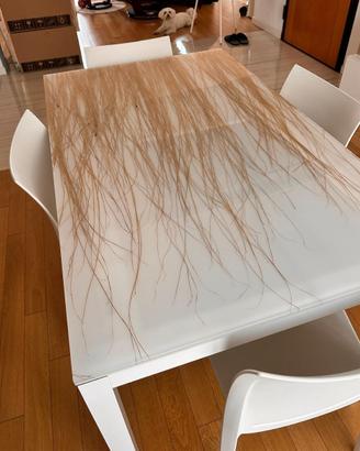 Tavolo di design Colico con sedie abbinate