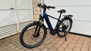 Trekking Ebike