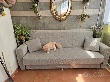 divano letto a clip  con cassone