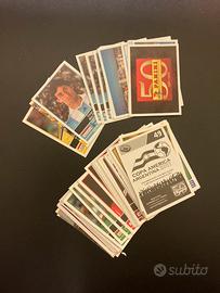 Figurine panini copa america argentina 2011