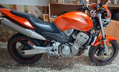 honda hornet 919