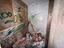 Immagine 28