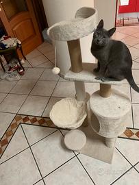 Tiragraffi per gatti