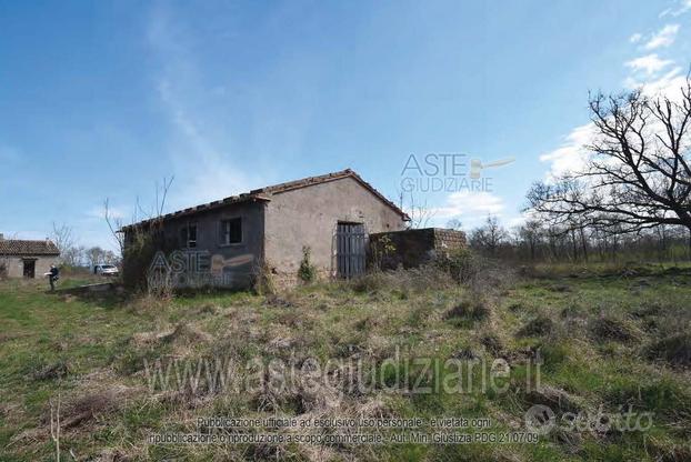 Terreno Agricolo Graffignano [A4317959]