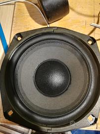 subwoofer doppia bobina con suo crossover passivo
