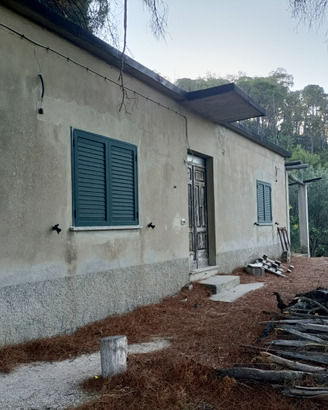 Terreno 5 ettari con fabbricati agricoli