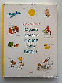 Il grande libro delle figure e delle parole