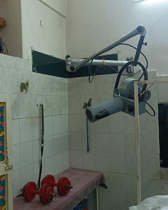Phon professionale per toelettatore animali
