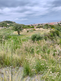 Terreno Tortora Marina Zona Santo Stefano
