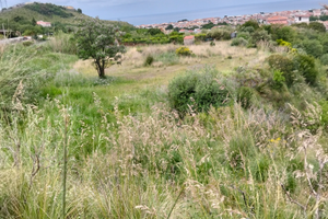 Terreno Tortora Marina Zona Santo Stefano