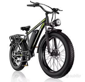e-bike fatbike