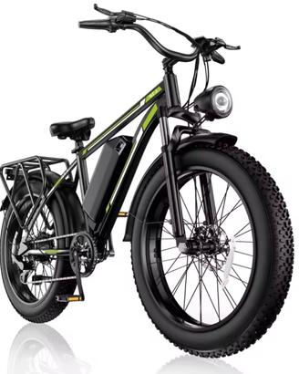 e-bike fatbike