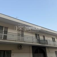 AMPIO TRILOCALE