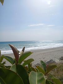 Appartamenti al mare