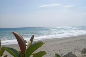 Appartamenti al mare