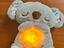 Immagine 2