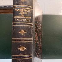 Lehrbuch der system. und topograph. Anatomie 1897