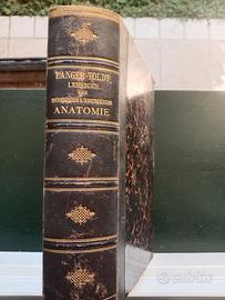 Lehrbuch der system. und topograph. Anatomie 1897