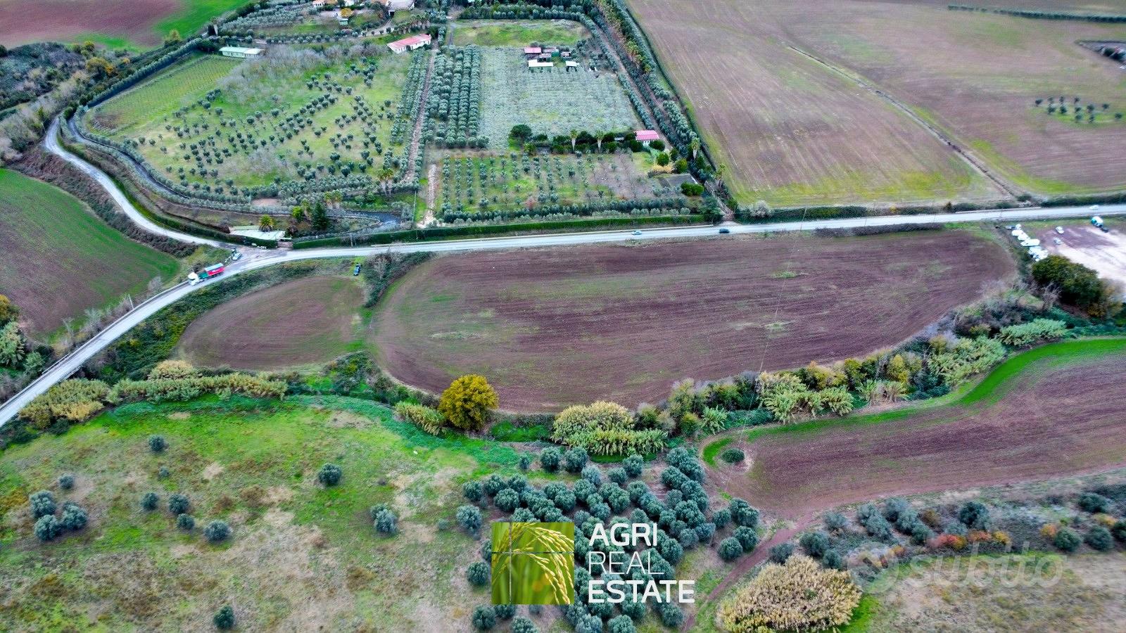 Terreno agricolo 3 HA ca. fronte strada | TR475 - Vista 5