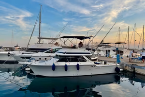 Chris Craft 315 Commander Express Diesel