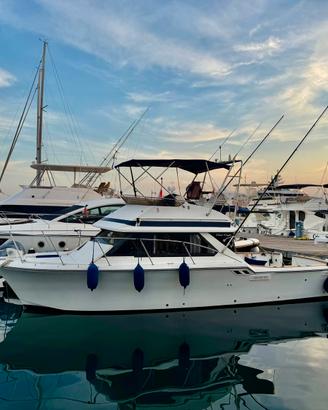 Chris Craft 315 Commander Express Diesel
